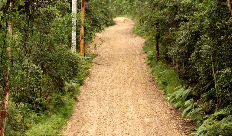 Pipeline trail, Popran National Park. Photo: John Yurasek &copy; DPIE