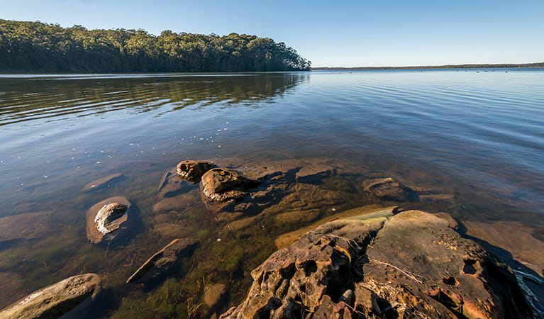 Queens Lake Nature Reserve. Photo: John Spencer &copy; DPIE