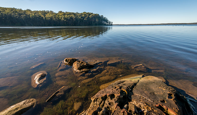 Queens Lake Nature Reserve. Photo: John Spencer &copy; DPIE