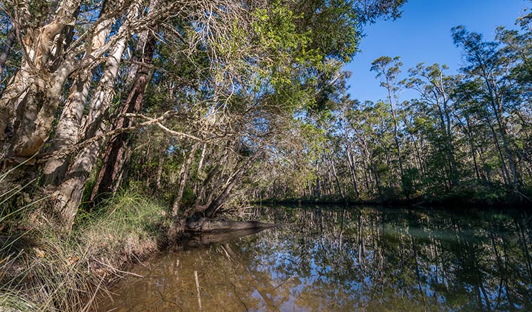 Queens Lake Nature Reserve. Photo: John Spencer &copy; DPIE