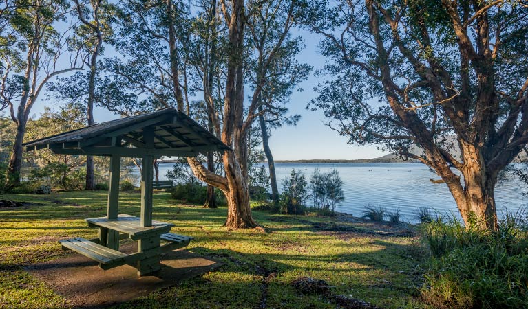 Queens Lake picnic area, Queens Lake Nature Reserve. Photo: John Spencer