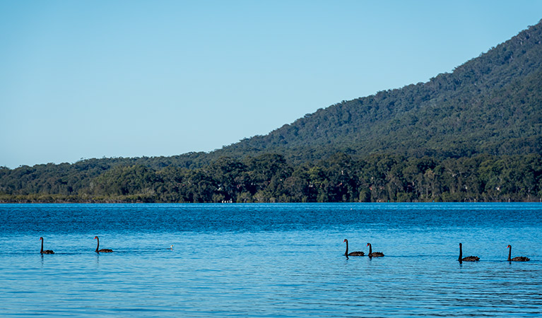 Queens Lake Nature Reserve. Photo: John Spencer