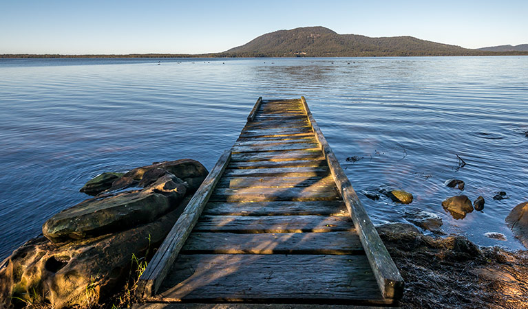 Queens Lake picnic area, Queens Lake Nature Reserve. Photo: John Spencer