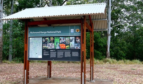 Cambridge Plateau Picnic Area, Richmond Range National Park. Photo: J Atkins/NSW Government