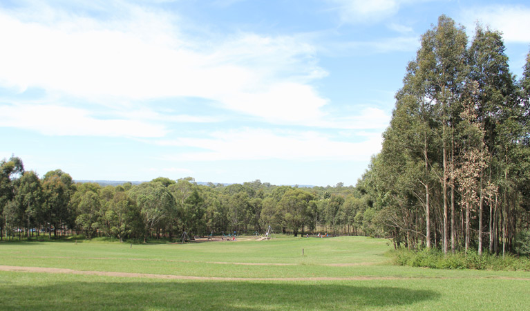 Iron Bark Ridge, Rouse Hill. Photo: John Yurasek