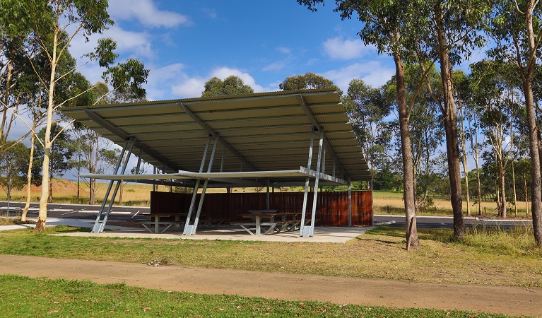 Moluccana Pavilion set amongst towering trees, Rouse Hill Regional Park. Photo: David Bush &copy; DPE