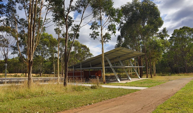 Moluccana Pavilion set amongst towering trees, Rouse Hill Regional Park. Photo: David Bush &copy; DPE