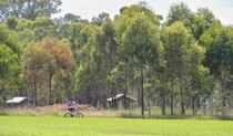 Rouse Hill Estate Walk, Rouse Hill Regional Park. Photo: John Yurasek