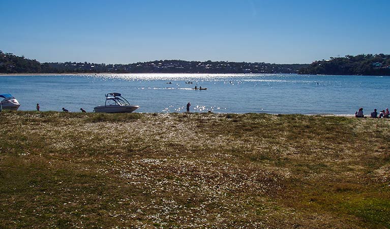 A family playing ball games on the grass at Bonnie Vale picnic area in Royal National Park. Photo: Simone Cottrell/OEH