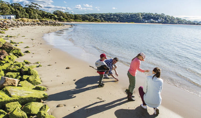 A family takes a walk along the beach next to Bonnie Vale picnic area in Royal National Park. Photo: Simone Cottrell/OEH