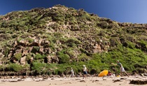 Garie Beach, Royal National Park. Photo: David Finnegan/NSW Government