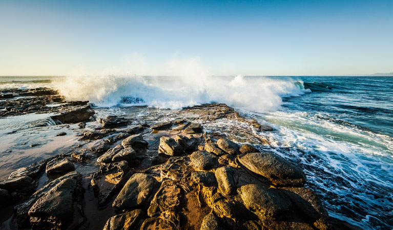 Garie Beach, Royal National Park. Photo: David Finnegan/NSW Government