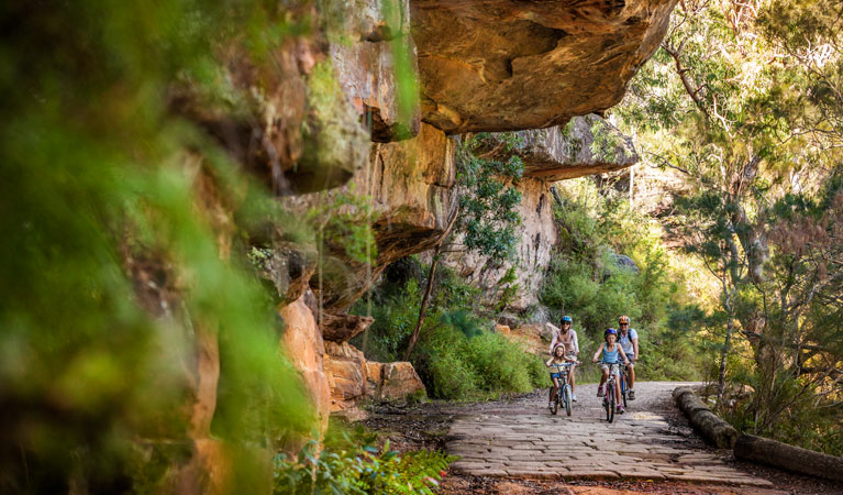 Lady Carrington Drive, Royal National Park. Photo: David Finnegan/NSW Government