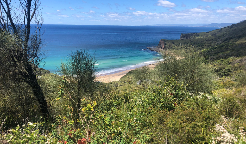 View from top of the hill down over Burning Palms beach Photo: Natasha Webb