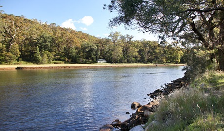 Pool Flat, Royal National Park. Photo: Andy Richards/NSW Government