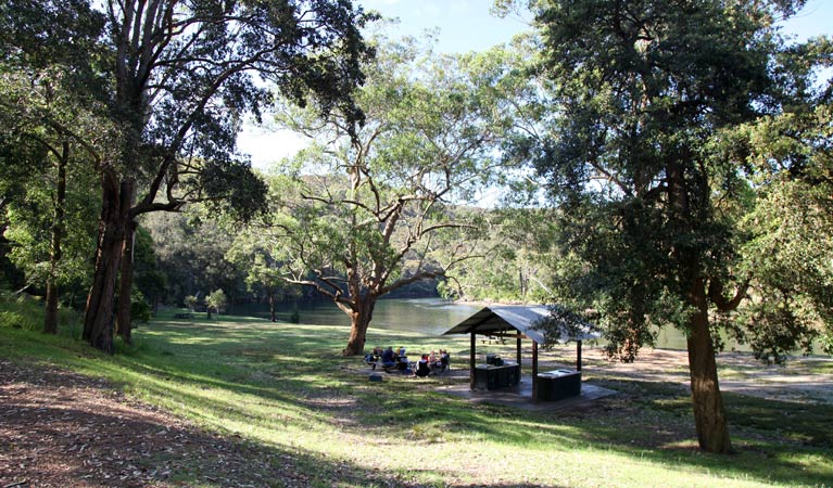 Reids Flat picnic area, Royal National Park. Photo: Andy Richards/NSW Government