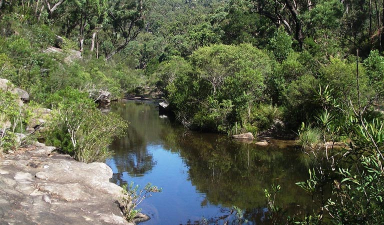 Uloola Falls campground pool, Royal National Park. Photo: Andy Richards/NSW Government