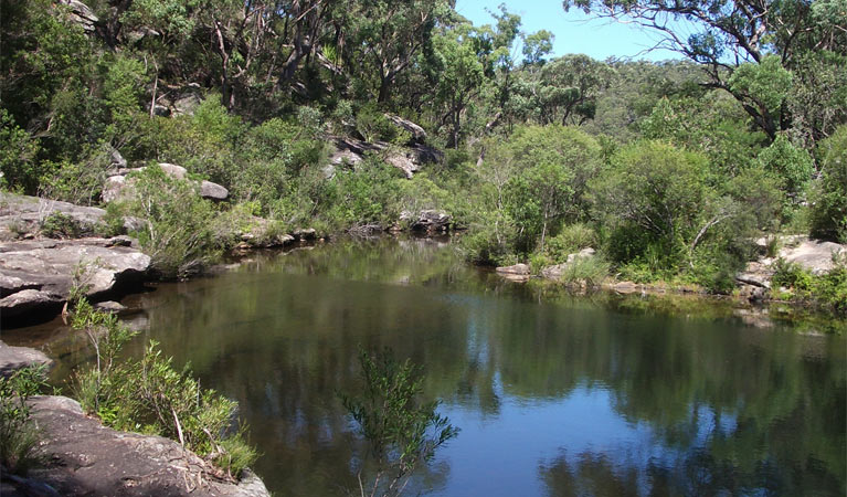 Uloola Falls campground open water, Royal National Park. Photo: Andy Richards/NSW Government