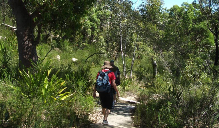 Uloola Track, Royal National Park. Photo &copy; Andrew Richards