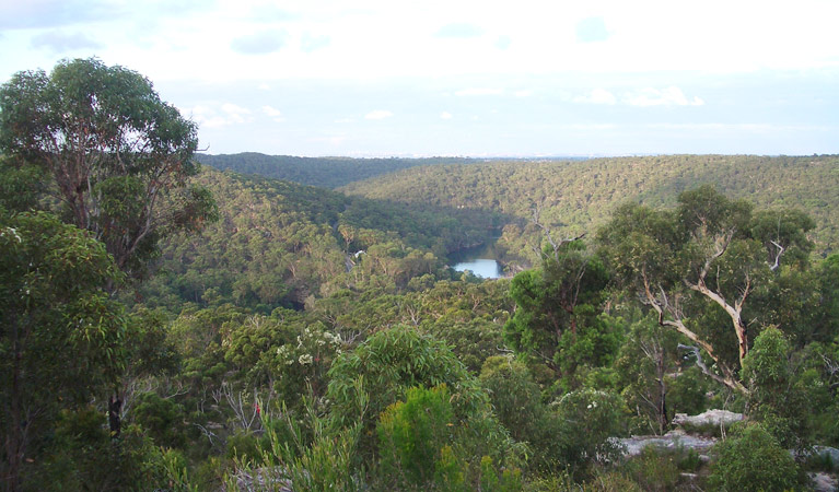 Uloola Track, Royal National Park. Photo &copy; Andrew Richards