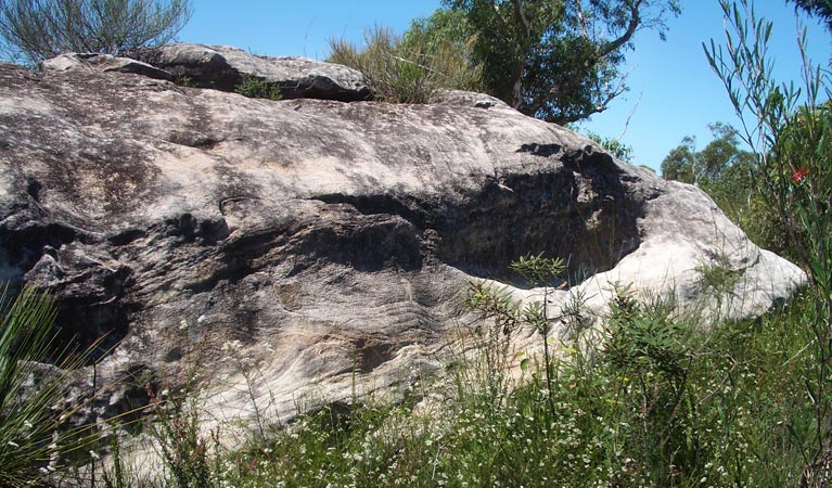 Uloola Track, Royal National Park. Photo &copy; Andrew Richards