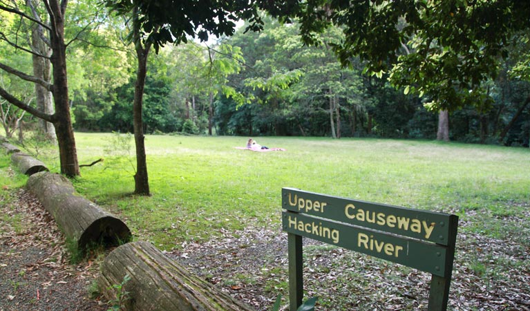 Upper Causeway picnic area, Royal National Park. Photo: Andy Richards/NSW Government