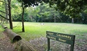 Upper Causeway picnic area, Royal National Park. Photo: Andy Richards/NSW Government
