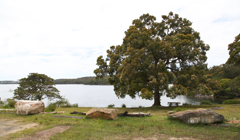 Warumbul picnic area, Royal National Park. Photo: Andy Richards/NSW Government