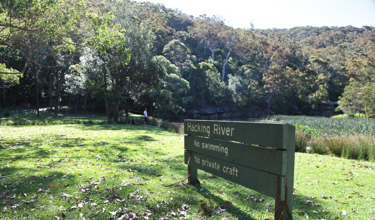 Wattle Forest picnic area, Royal National Park. Photo: Andy Richards/NSW Government