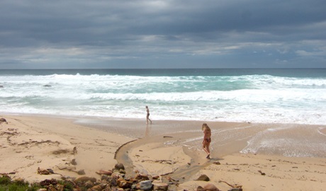 Werrong Beach Track, Royal National Park.