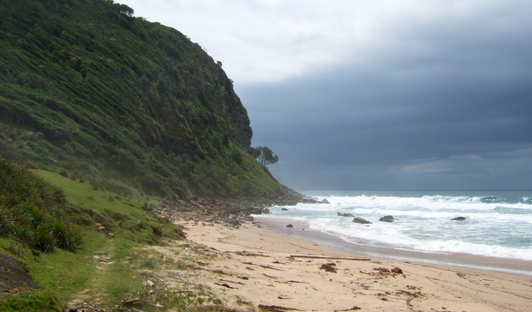 Werrong Beach track, Royal National Park.