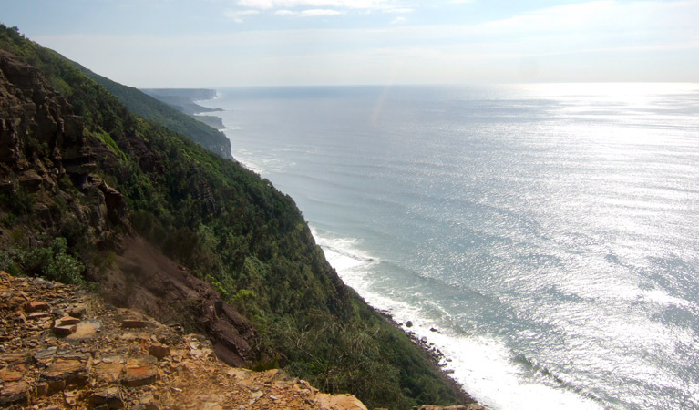 Werrong Beach track, Royal National Park.