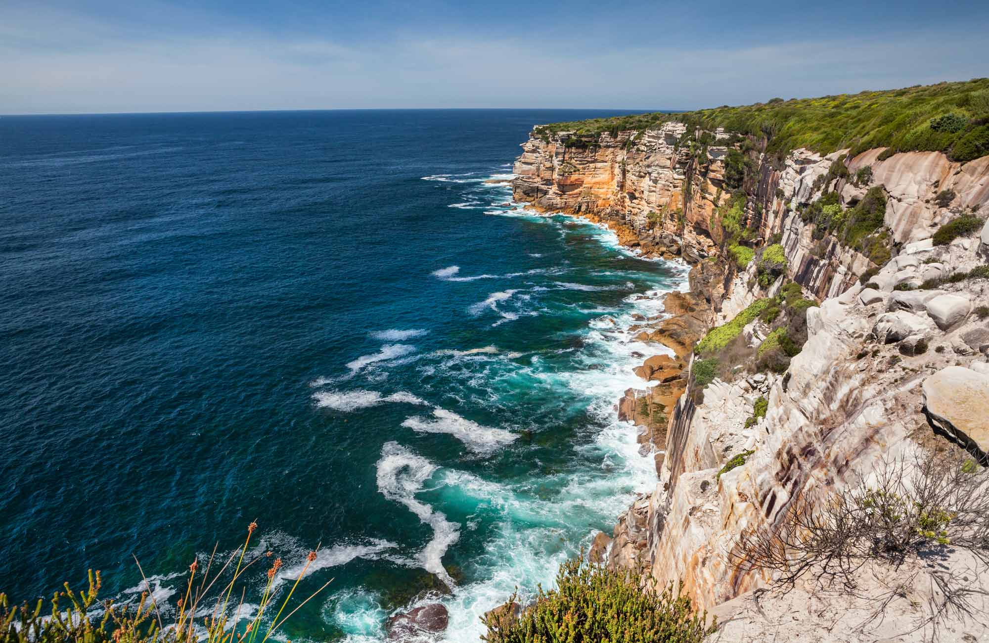 are dogs allowed in national parks nsw