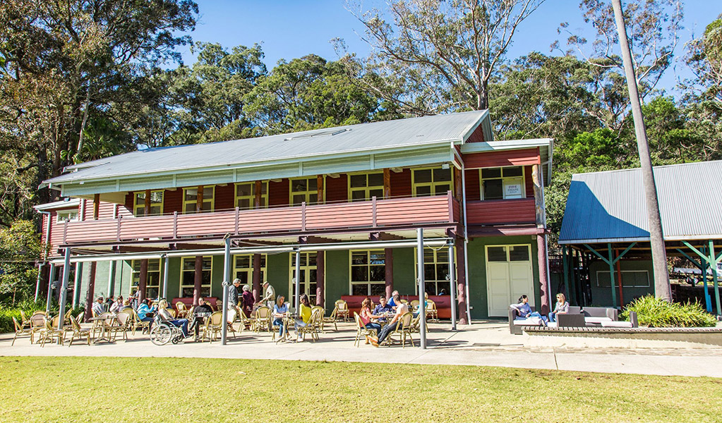 Visitors outside at Audley Dance Hall cafe with Royal National Park bushland in the background. Credit: Simone Cottrell/DCCEEW © DCCEEW