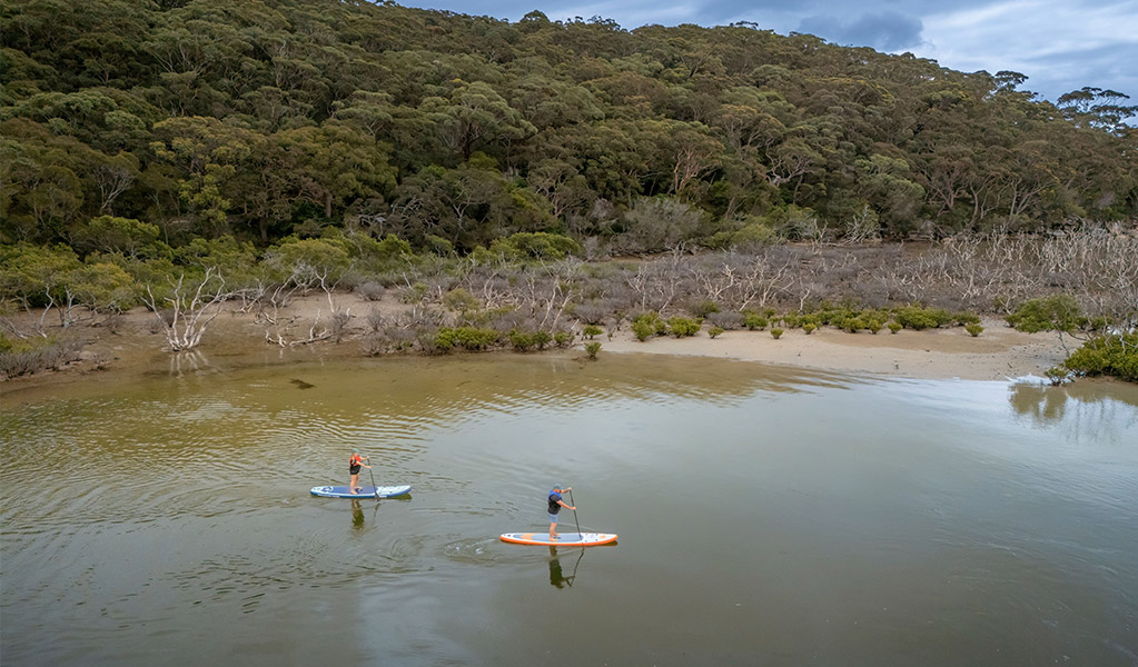 Two people stand up paddle boarding on the Hacking River near Bonnie Vale campground. Credit: John Spencer &copy; DCCEEW