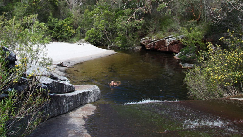 Swimming in Deer Pool, Royal National Park. Photo: Andy Richards