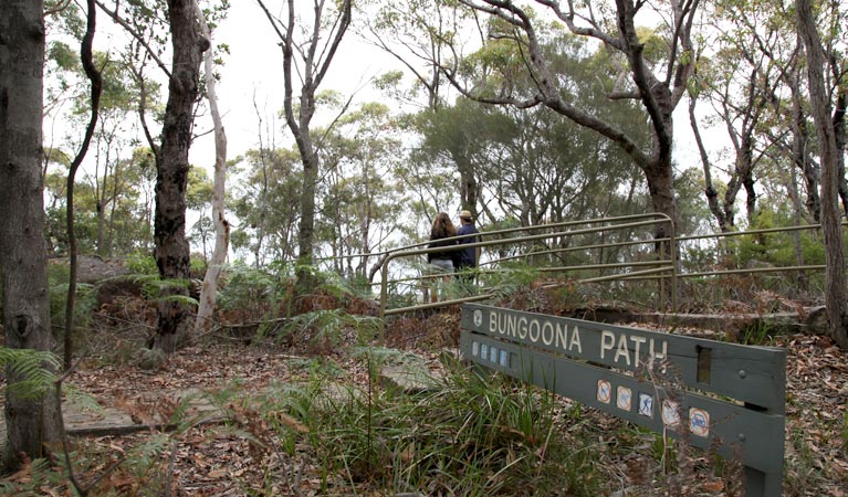 Bungoona path, Royal National Park. Photo &copy; Andy Richards