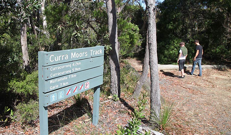 Curra Moors loop track, Royal National Park. Photo &copy; Andrew Richards