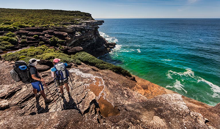 Curra Moors loop track, Royal National Park. Photo: David Finnegan &copy; OEH