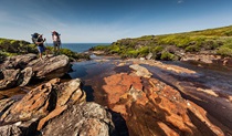 Curra Moors loop track, Royal National Park. Photo: David Finnegan &copy; OEH