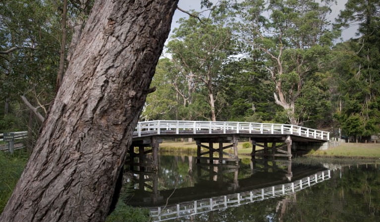 A bridge over the Hacking River at Currawong Flat picnic area in Royal National Park. Photo: Nick Cubbin &copy; OEH