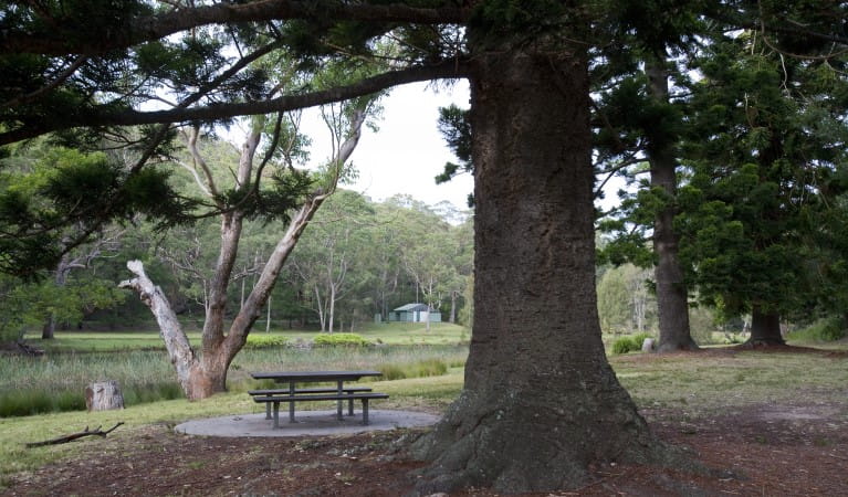 A picnic table under a tree next to the Hacking River at Currawong Flat picnic area in Royal National Park. Photo: Nick Cubbin &copy; OEH
