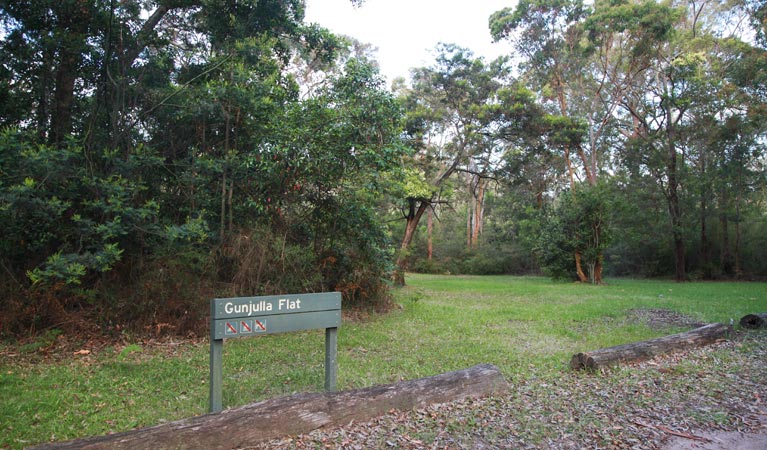 Gunjulla Flat picnic area, Royal National Park. Photo &copy; Andrew Richards