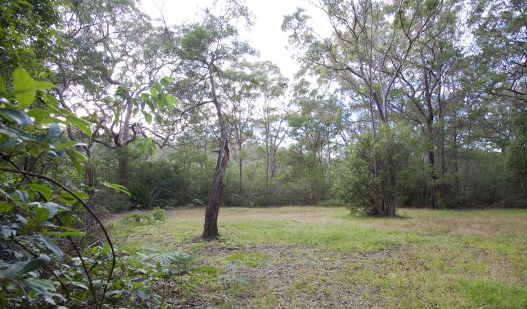 Trees and a flat grassy area at Gunjulla Flat picnic area in Royal National Park. Photo: Nick Cubbin &copy; OEH