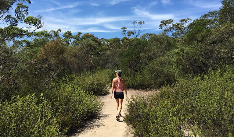 Bushwalker on the Karloo walking track. Photo &copy; Natasha Webb