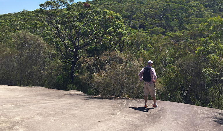 Looking out over the tree tops along Karloo walking track. Photo &copy; Natasha Webb