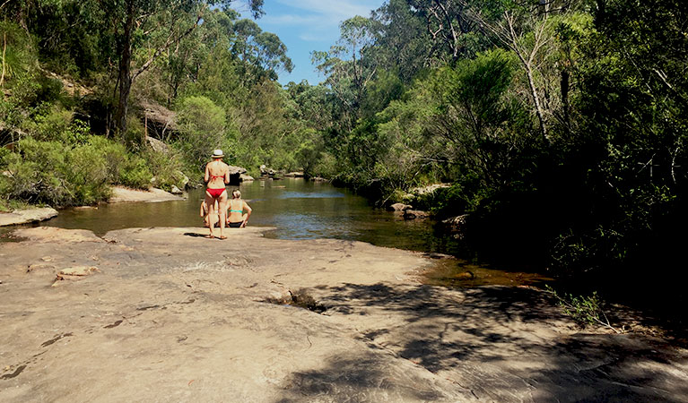 Karloo walking track in Royal National Park. Photo &copy; Natasha Webb