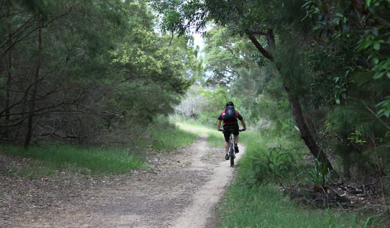Bike riding on the Loftus Loop cycling trail. Photo: Andy Richards