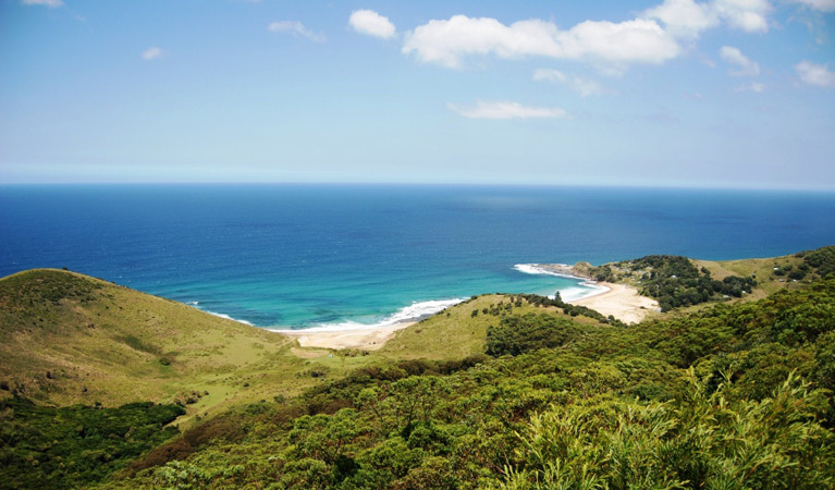 Views over the ocean from Governor Game lookout, Royal National Park. Photo: Andy Richards/OEH