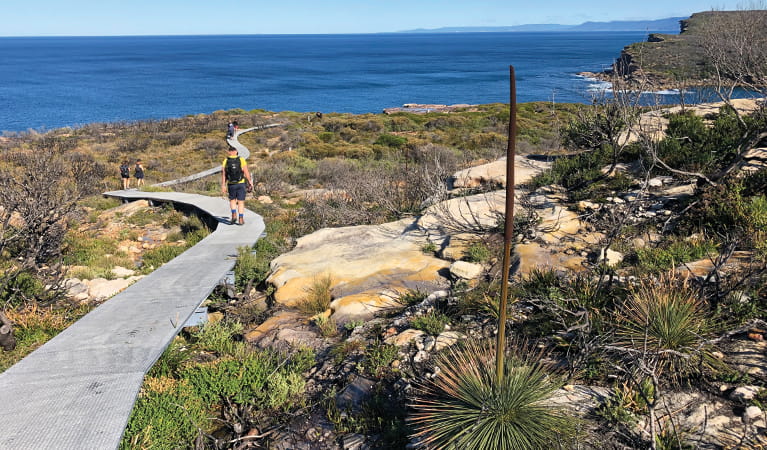 Hikers walking the raised path with views over the ocean and cliffs. Photo: Natasha Webb